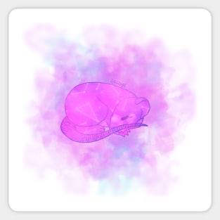 Sleepy Space Rat Sticker